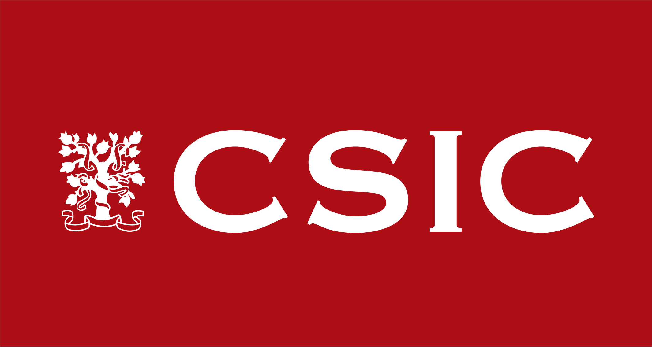 Consejo Superior de Investigaciones Científicas (CSIC)